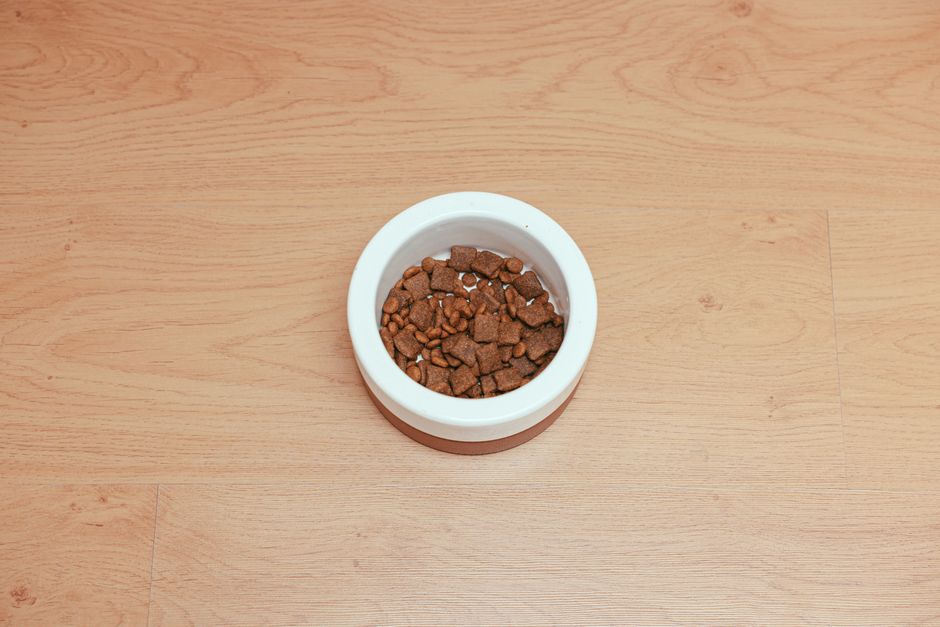 Công Thức Thức Ăn Chó Tự Chế An Toàn: Hướng Dẫn Đầy Đủ Từ Bác Sĩ Thú Y